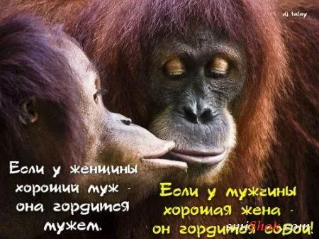 Картинки с афоризмами