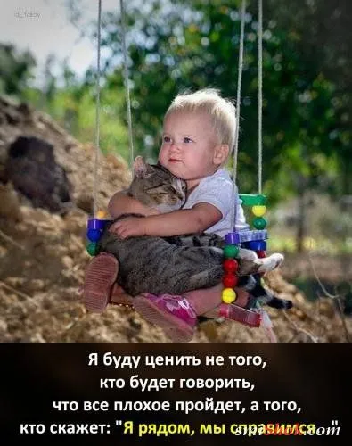Картинки с афоризмами