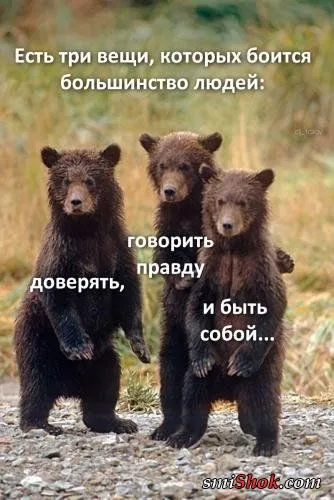 Картинки с афоризмами