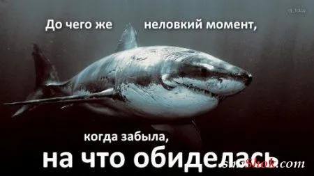 Картинки с афоризмами