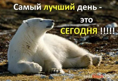Картинки с афоризмами