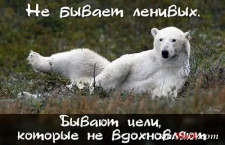 Картинки с афоризмами