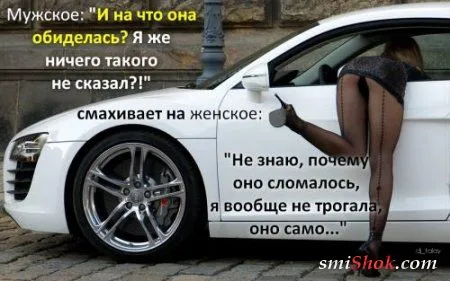 Картинки с афоризмами