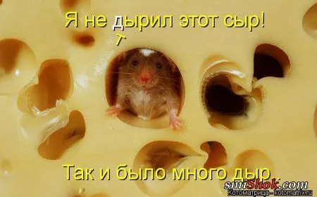 Свеженькие горяченькие как блины котоматрицы Свеженькие горяченькие как блины котоматрицы