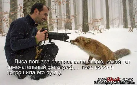 Свеженькие горяченькие как блины котоматрицы Свеженькие горяченькие как блины котоматрицы