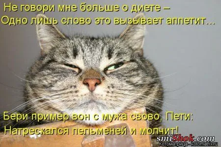 Свеженькие горяченькие как блины котоматрицы Свеженькие горяченькие как блины котоматрицы