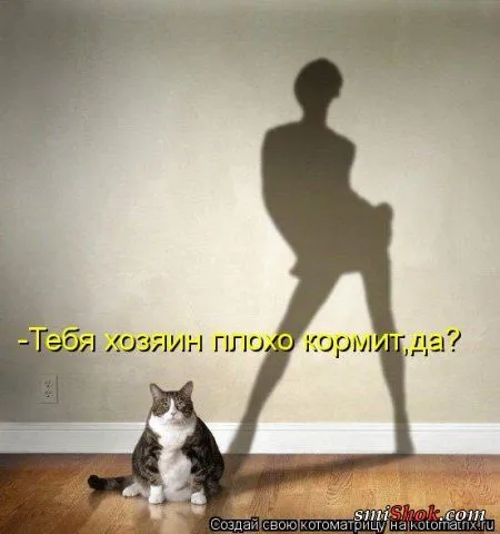 Свеженькие горяченькие как блины котоматрицы Свеженькие горяченькие как блины котоматрицы