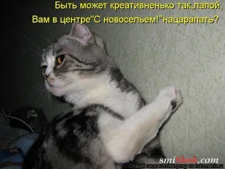 Свеженькие горяченькие как блины котоматрицы Свеженькие горяченькие как блины котоматрицы