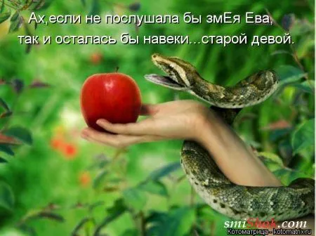 Свеженькие горяченькие как блины котоматрицы Свеженькие горяченькие как блины котоматрицы