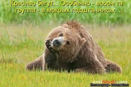 Свеженькие горяченькие как блины котоматрицы Свеженькие горяченькие как блины котоматрицы