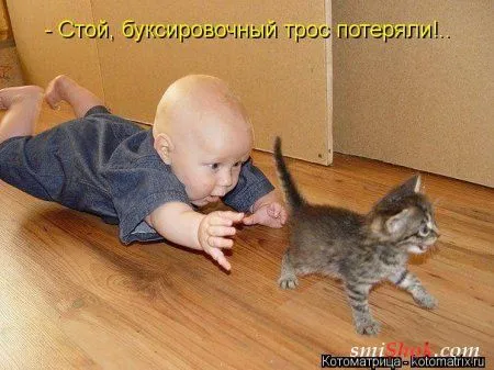 Свеженькие горяченькие как блины котоматрицы Свеженькие горяченькие как блины котоматрицы