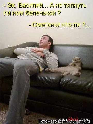 Свеженькие горяченькие как блины котоматрицы Свеженькие горяченькие как блины котоматрицы