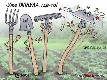Карикатурки Свеженькие с пылу с жару