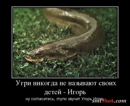 Новости шоубиза и не только в демотиваторах Новости шоубиза и не только в демотиваторах