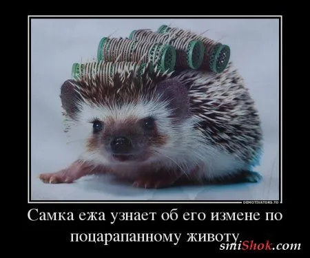 Новости шоубиза и не только в демотиваторах Новости шоубиза и не только в демотиваторах
