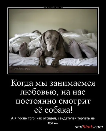 Классные фразы про Это - в демотиваторах смешных... Классные фразы про Это - в демотиваторах смешных...