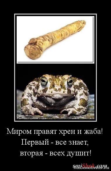 Демотиваторы это прикольно, особенно когда часто Демотиваторы это прикольно, особенно когда часто