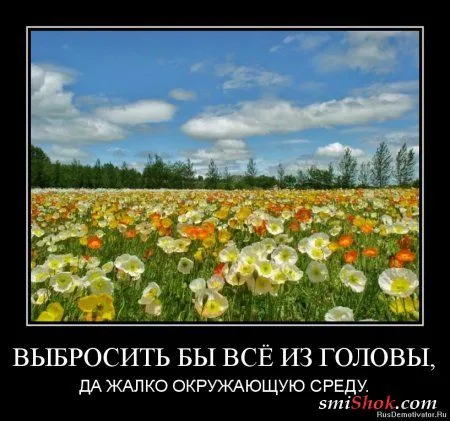 Демотиваторы это прикольно, особенно когда часто Демотиваторы это прикольно, особенно когда часто