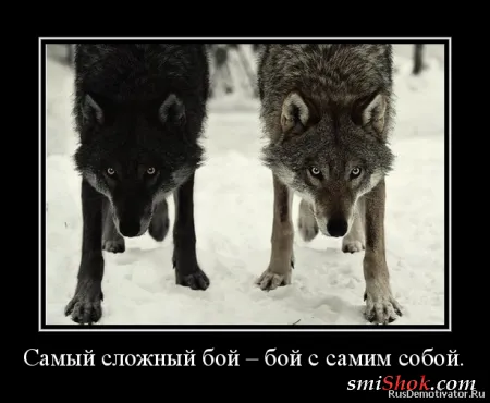 Демотиваторы это прикольно, особенно когда часто Демотиваторы это прикольно, особенно когда часто