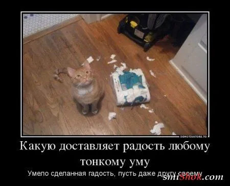 Демотиваторы и стихи в одном флаконе Демотиваторы и стихи в одном флаконе