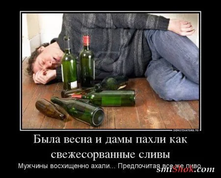 Демотиваторы и стихи в одном флаконе Демотиваторы и стихи в одном флаконе