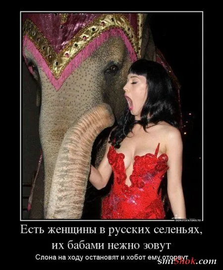 Демотиваторы и стихи в одном флаконе