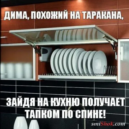 Прикольные картинки в солнечный весенний день Прикольные картинки в солнечный весенний день