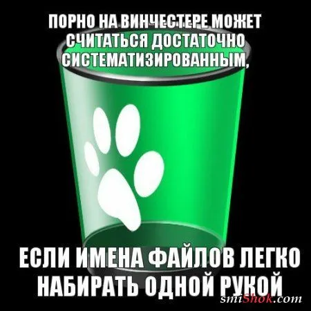 Прикольные картинки в солнечный весенний день Прикольные картинки в солнечный весенний день