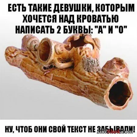 Прикольные картинки в солнечный весенний день Прикольные картинки в солнечный весенний день