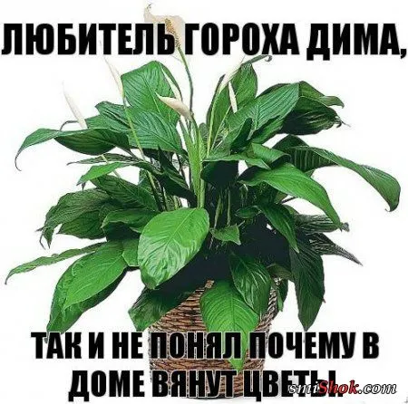 Прикольные картинки в солнечный весенний день Прикольные картинки в солнечный весенний день