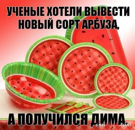 Прикольные картинки в солнечный весенний день Прикольные картинки в солнечный весенний день