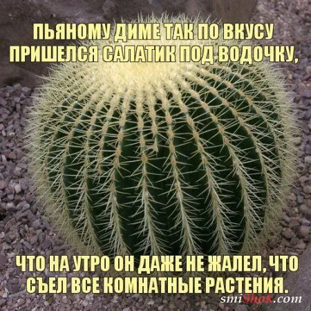 Прикольные картинки в солнечный весенний день Прикольные картинки в солнечный весенний день