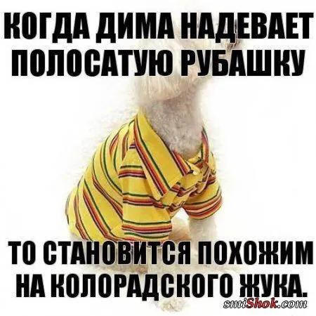 Прикольные картинки в солнечный весенний день Прикольные картинки в солнечный весенний день