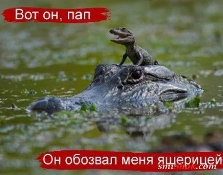 Еще фото и картинки прикольные Еще фото и картинки прикольные