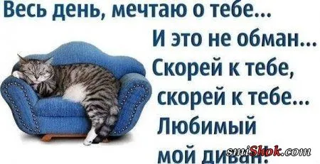 Еще фото и картинки прикольные Еще фото и картинки прикольные
