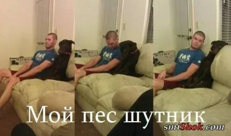 Еще фото и картинки прикольные Еще фото и картинки прикольные