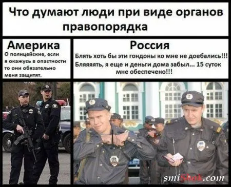 Фото приколы, что бы день удался