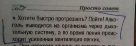 Фото приколы, что бы день удался
