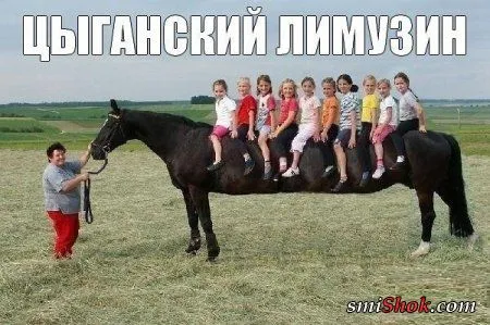 Фото приколы, что бы день удался
