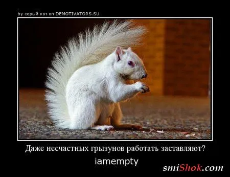 Демотиваторы с прикольными цитатами Демотиваторы с прикольными цитатами