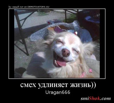 Демотиваторы с прикольными цитатами Демотиваторы с прикольными цитатами