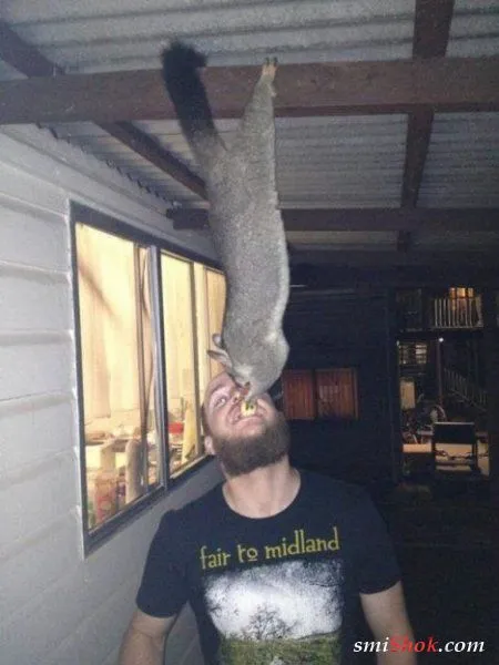Класнючие друзяки, люди и животные