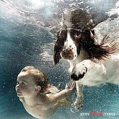 Класнючие друзяки, люди и животные