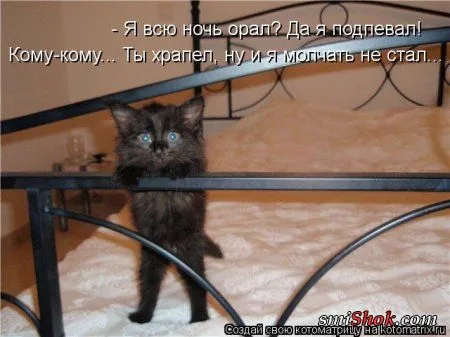 Шкодные котоматрицы