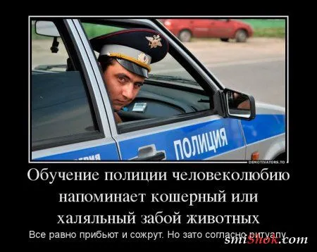 Демотиваторы прикольные, для поднятие весеннего настроения Демотиваторы прикольные, для поднятие весеннего настроения