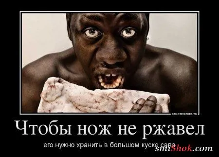 Демотиваторы прикольные, для поднятие весеннего настроения Демотиваторы прикольные, для поднятие весеннего настроения