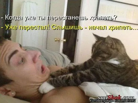 Свежачок картинок о котоматрицах