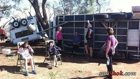 Фото приколы это все что тебе сейчас нужно Фото приколы это все что тебе сейчас нужно