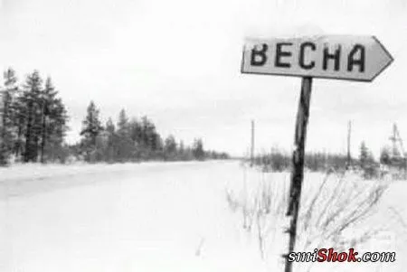 Звонила ВЕСНА! Звонила ВЕСНА!