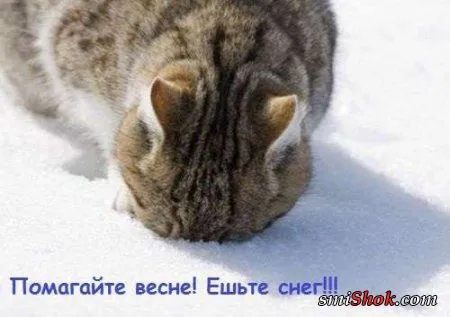 Звонила ВЕСНА! Звонила ВЕСНА!